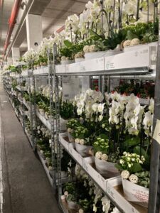 64f48f3c-21c7-4a75-affe-b231a8bbfa55